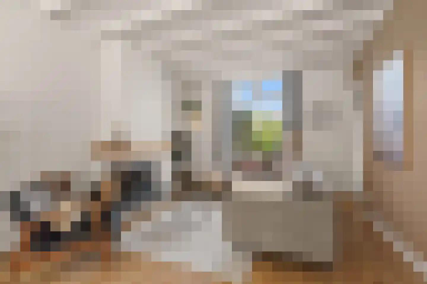 Goudsbloemstraat 6 Culemborg thumbnail 11