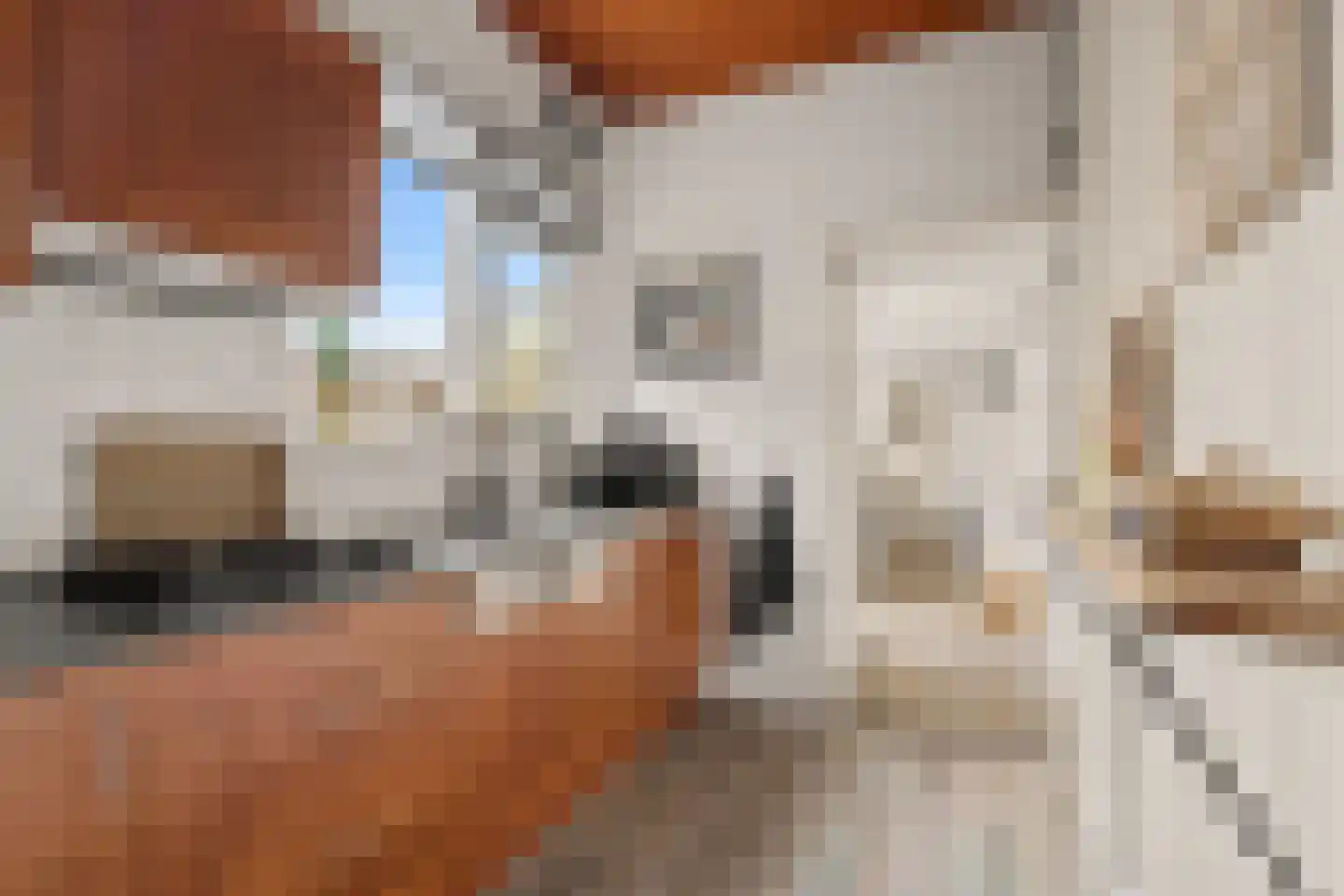 Goudsbloemstraat 6 Culemborg thumbnail 17