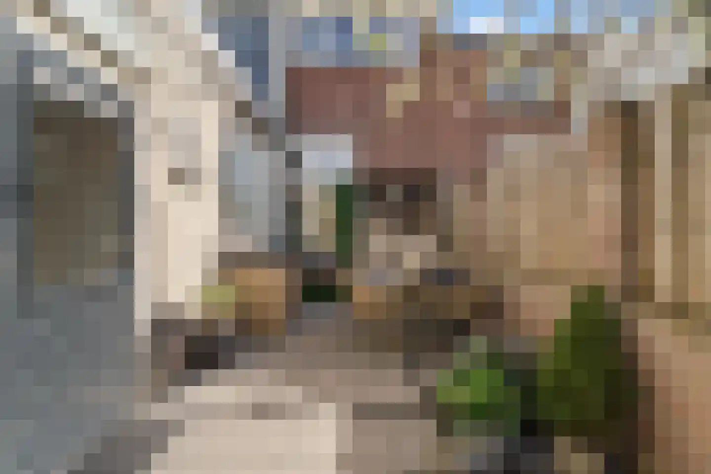 Goudsbloemstraat 6 Culemborg thumbnail 23