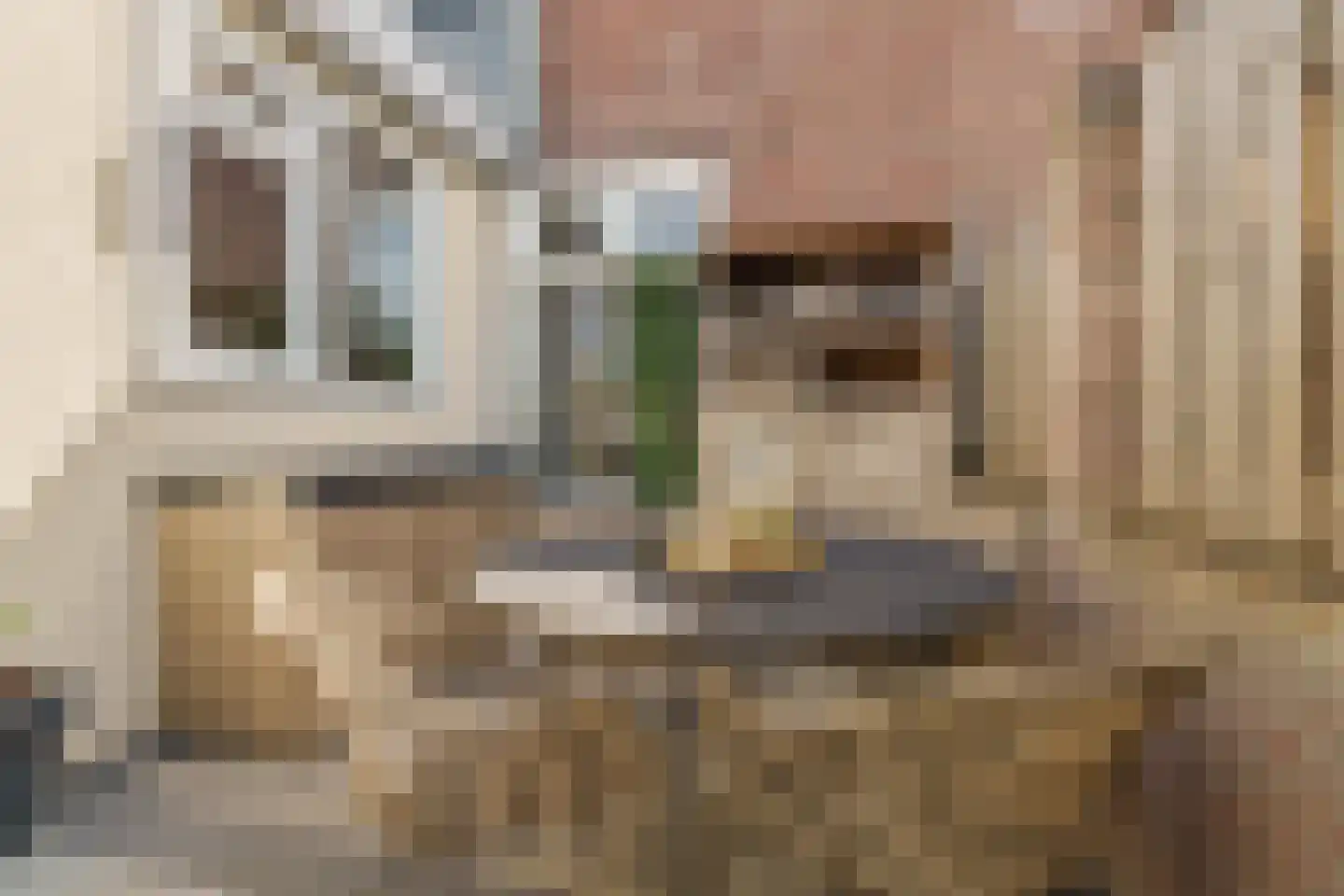 Goudsbloemstraat 6 Culemborg thumbnail 24