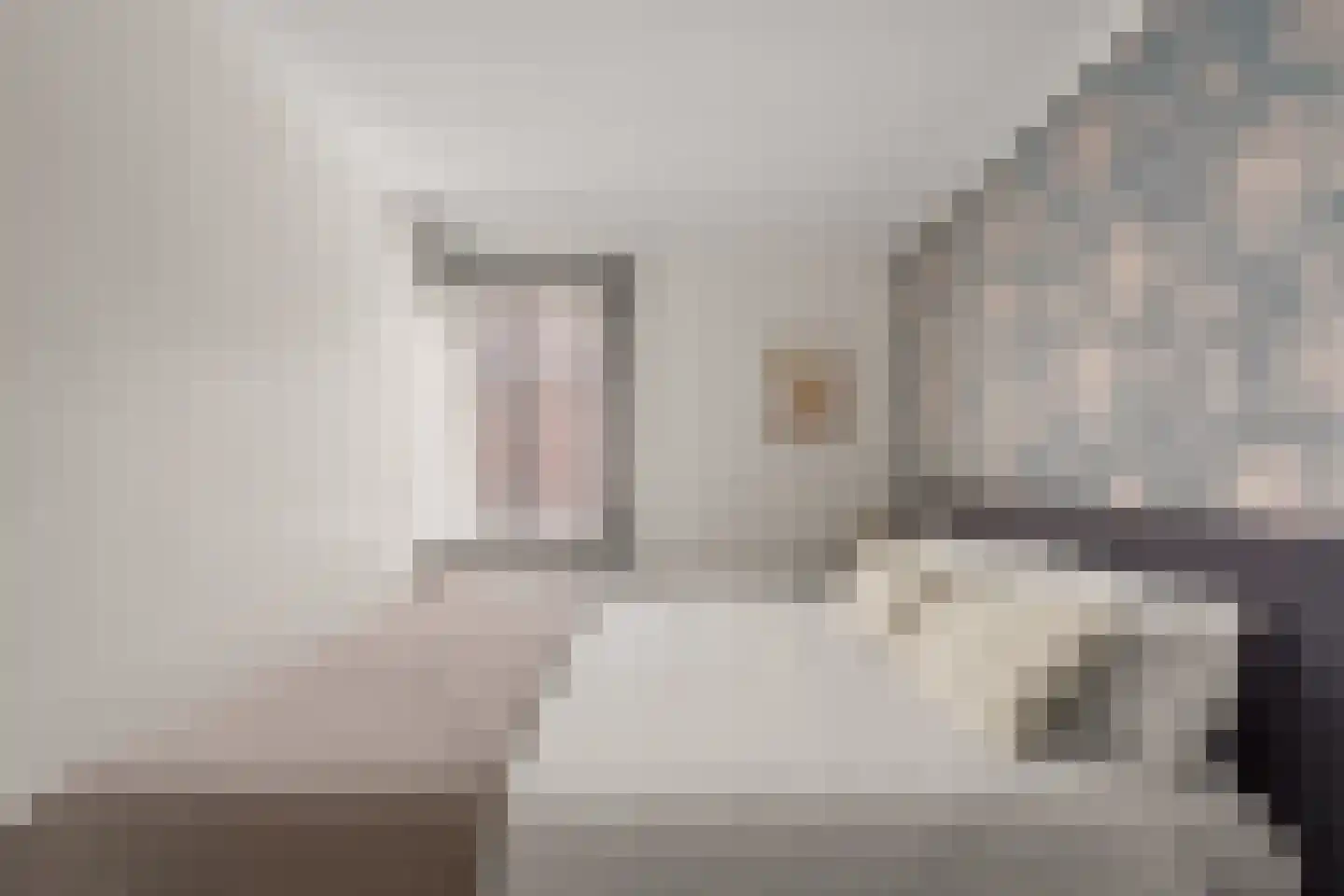 Goudsbloemstraat 6 Culemborg thumbnail 31