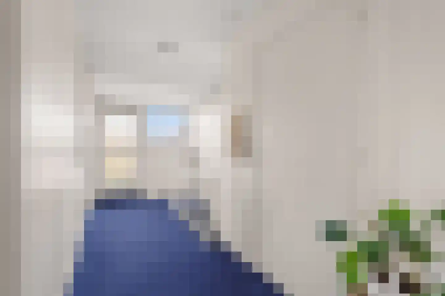 Goudsbloemstraat 6 Culemborg thumbnail 39