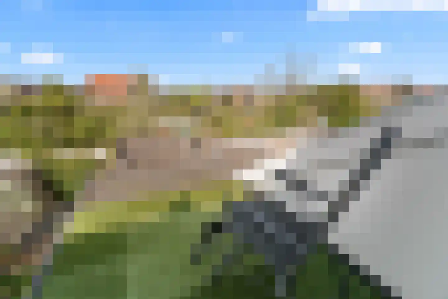 Goudsbloemstraat 6 Culemborg thumbnail 41