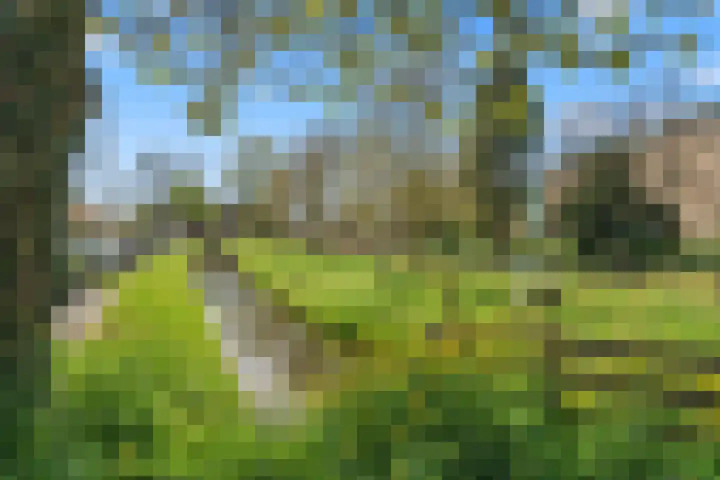 Goudsbloemstraat 6 Culemborg thumbnail 49
