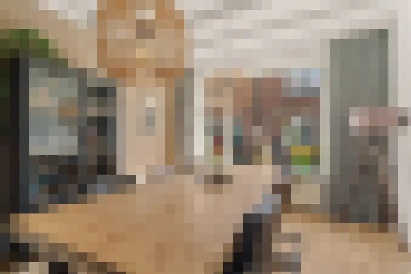 Goudsbloemstraat 6 Culemborg thumbnail 5