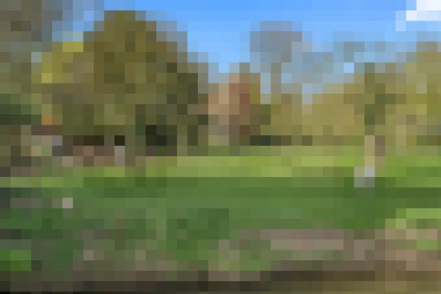 Goudsbloemstraat 6 Culemborg thumbnail 50