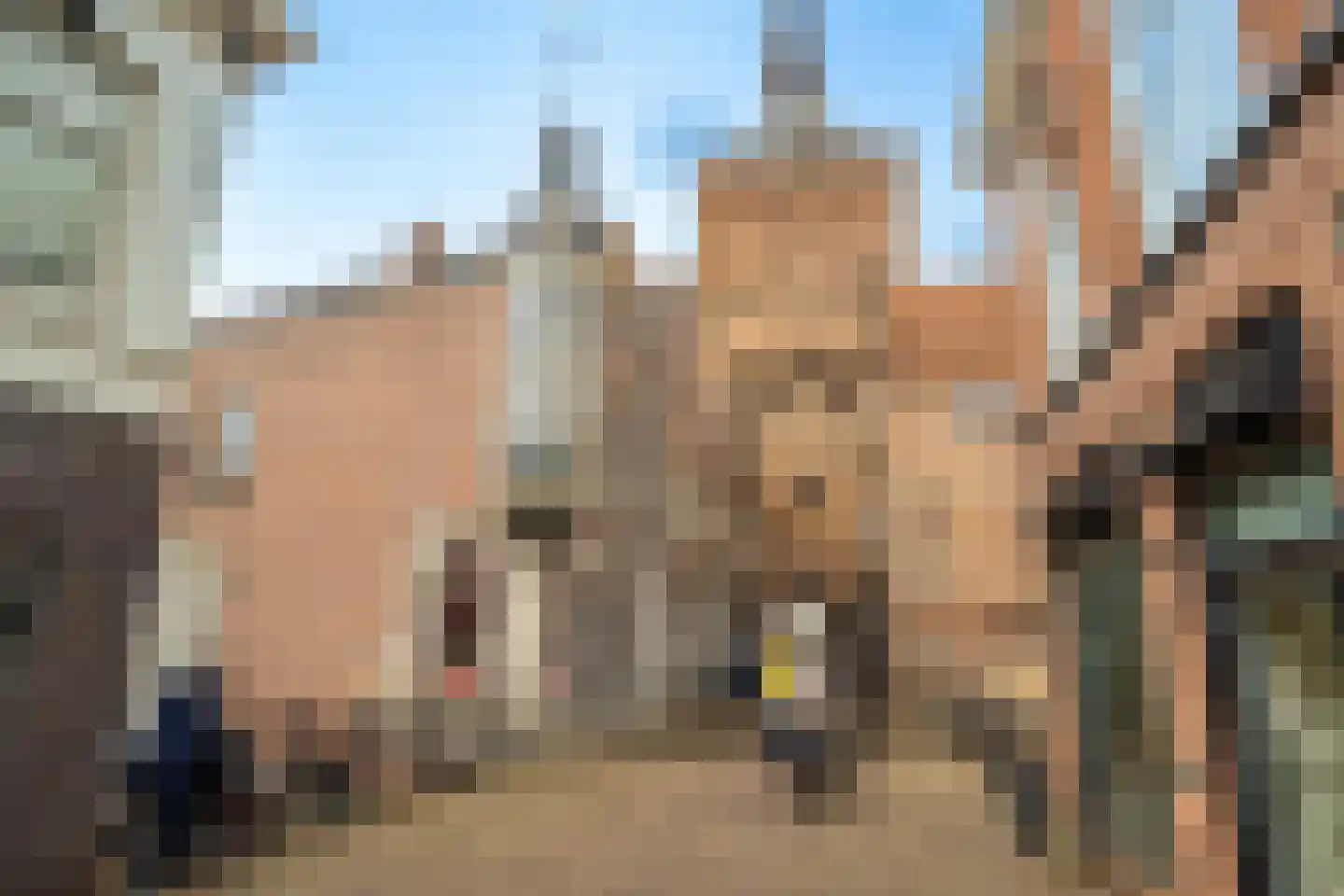 Goudsbloemstraat 6 Culemborg thumbnail 52