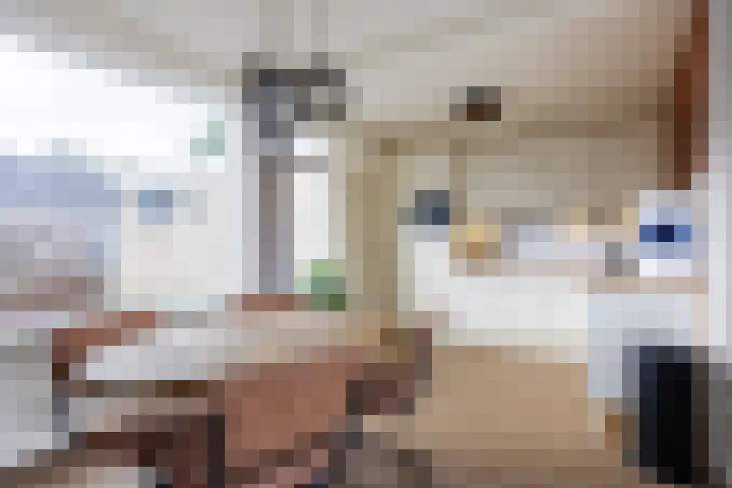 Goudsbloemstraat 6 Munnekezijl thumbnail 14