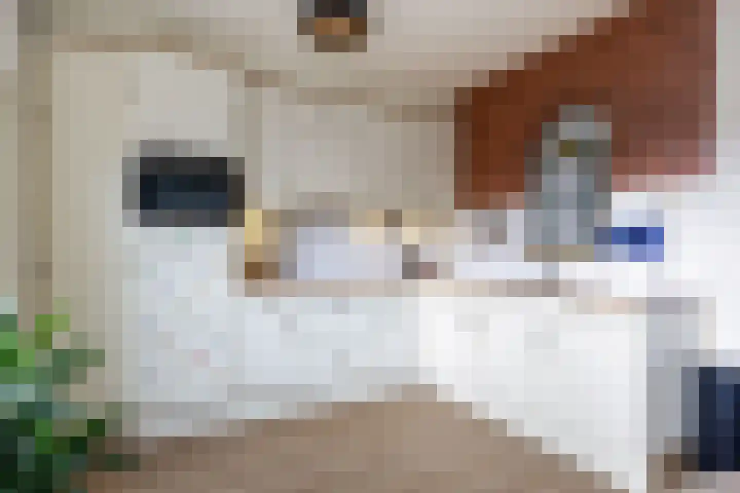 Goudsbloemstraat 6 Munnekezijl thumbnail 16