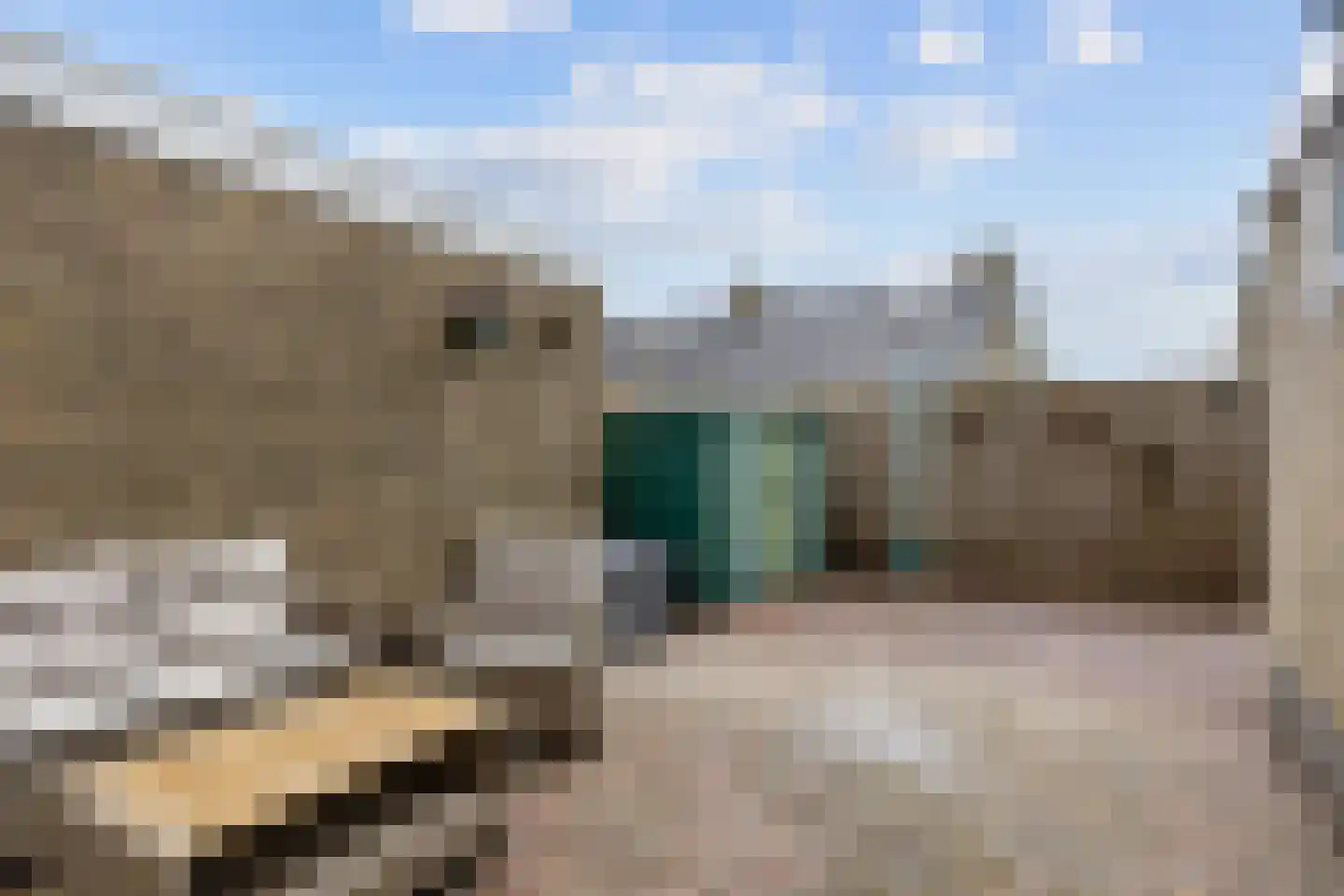 Goudsbloemstraat 6 Munnekezijl thumbnail 4