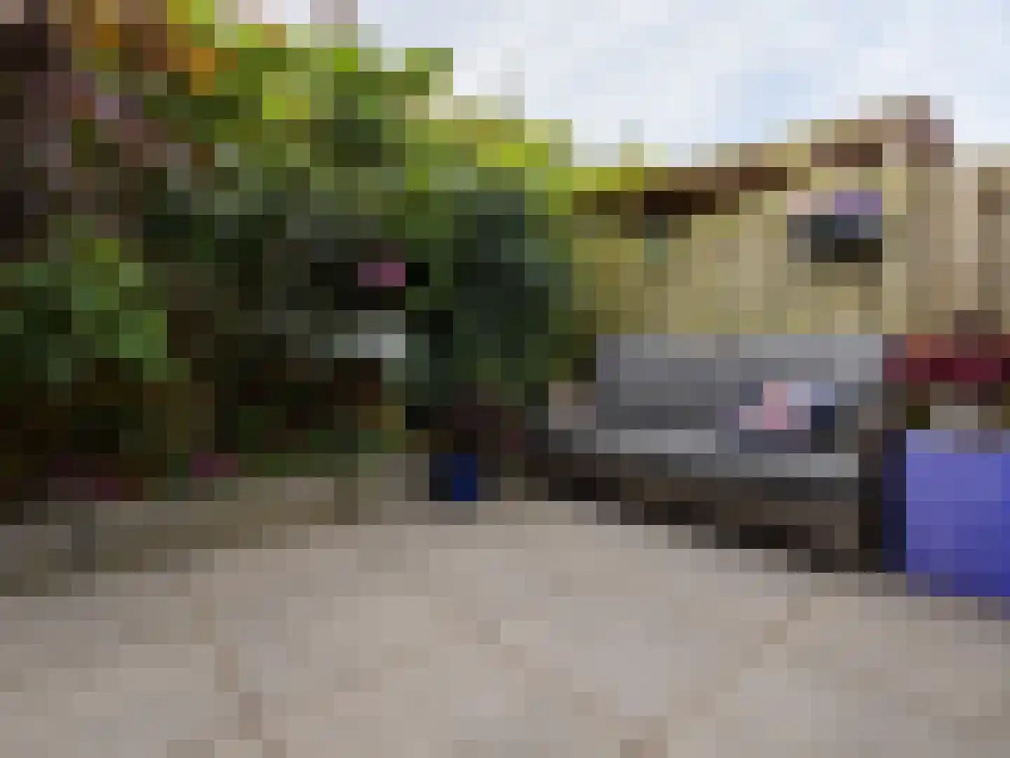 Goudsbloemstraat 6 Utrecht thumbnail 31