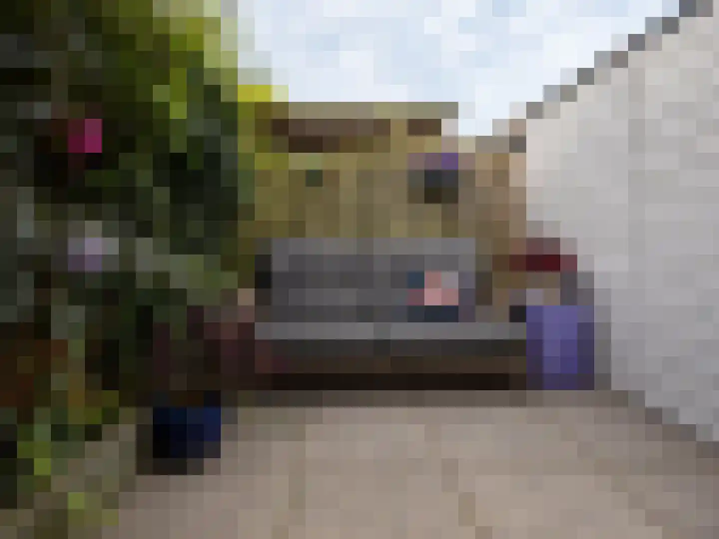 Goudsbloemstraat 6 Utrecht thumbnail 32