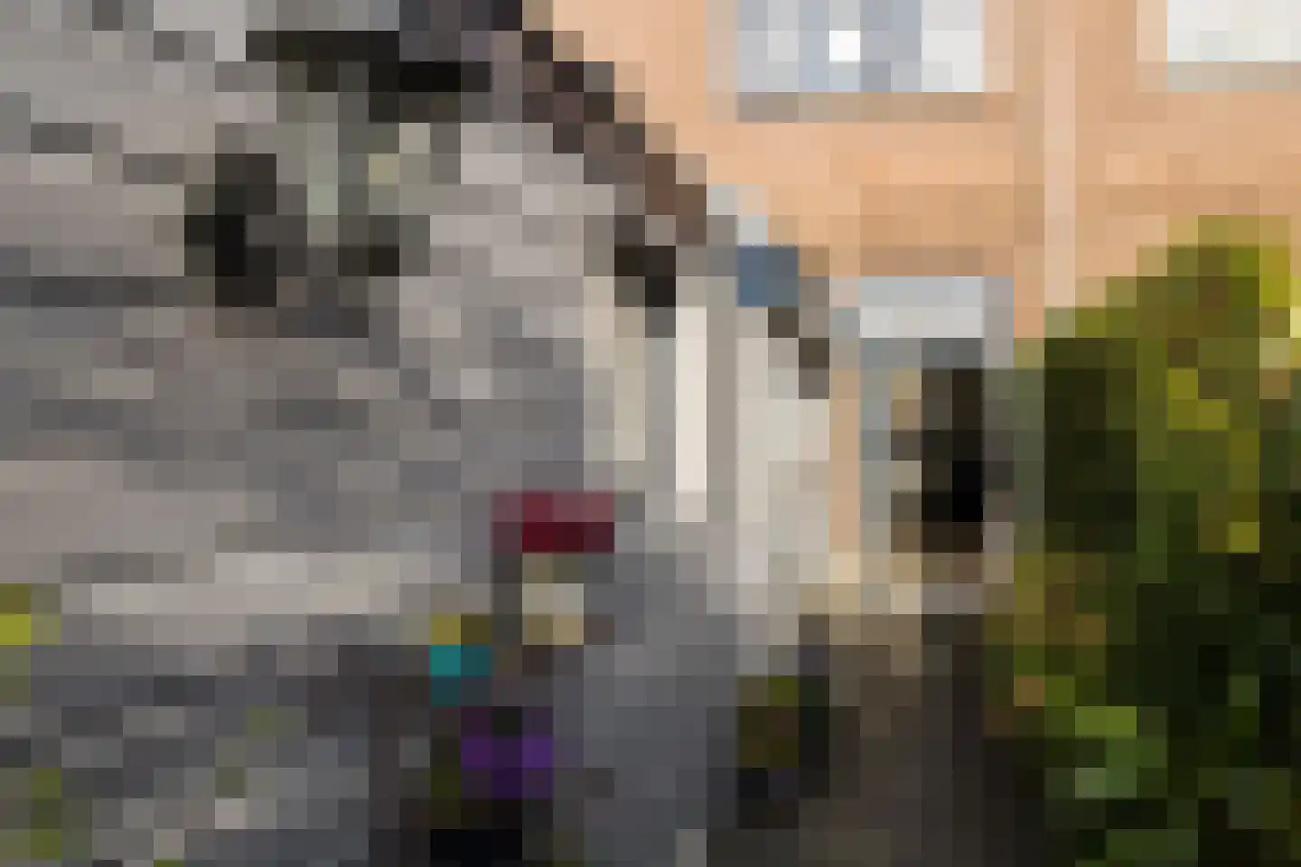 Goudsbloemstraat 6 Utrecht thumbnail 34