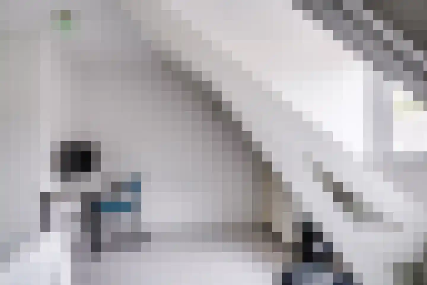 Goudsbloemstraat 6 Utrecht thumbnail 39