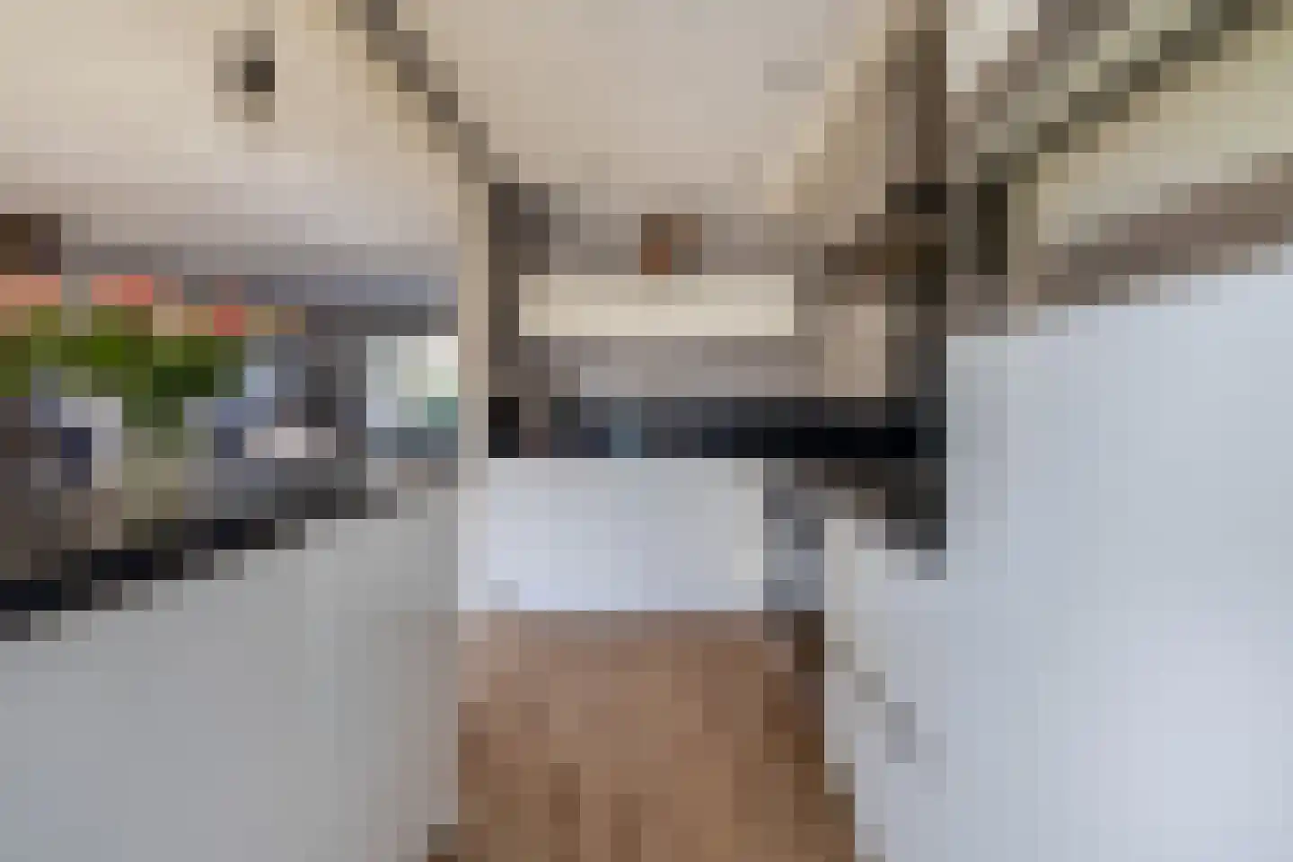 Goudsbloemstraat 6 Zevenhuizen thumbnail 11