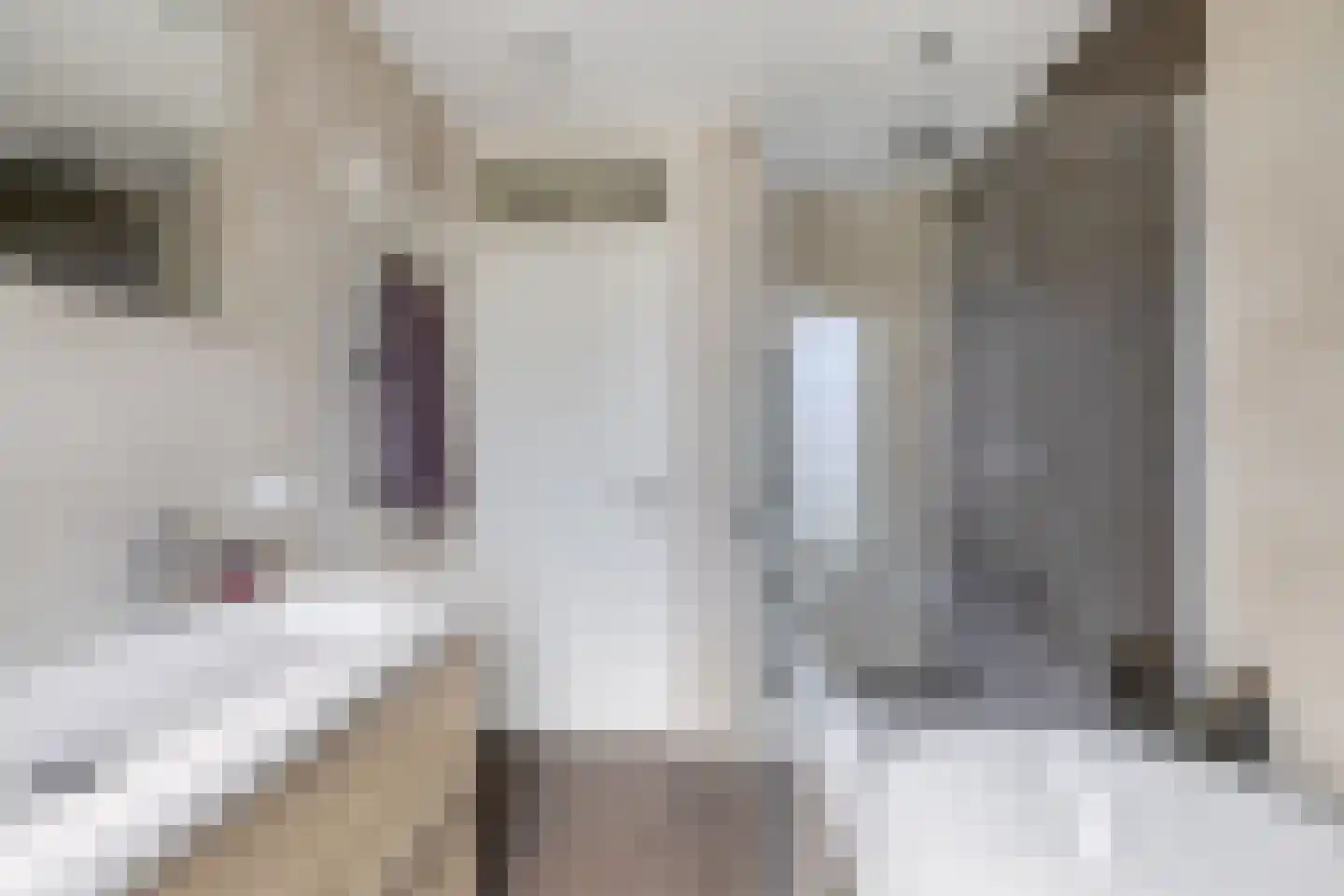 Goudsbloemstraat 6 Zevenhuizen thumbnail 19