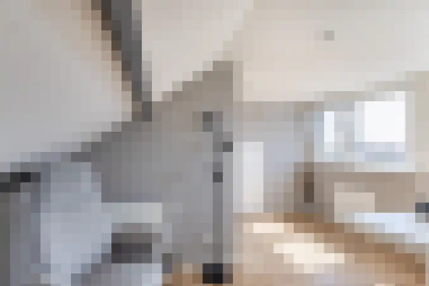 Goudsbloemstraat 6 Zevenhuizen thumbnail 25