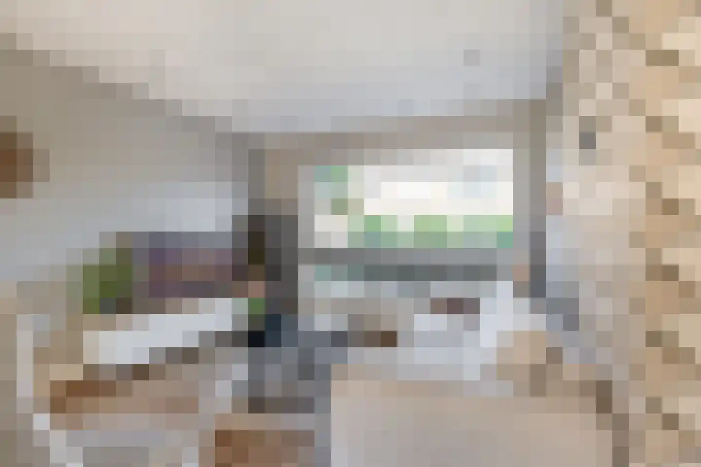 Goudsbloemstraat 6 Zevenhuizen thumbnail 7