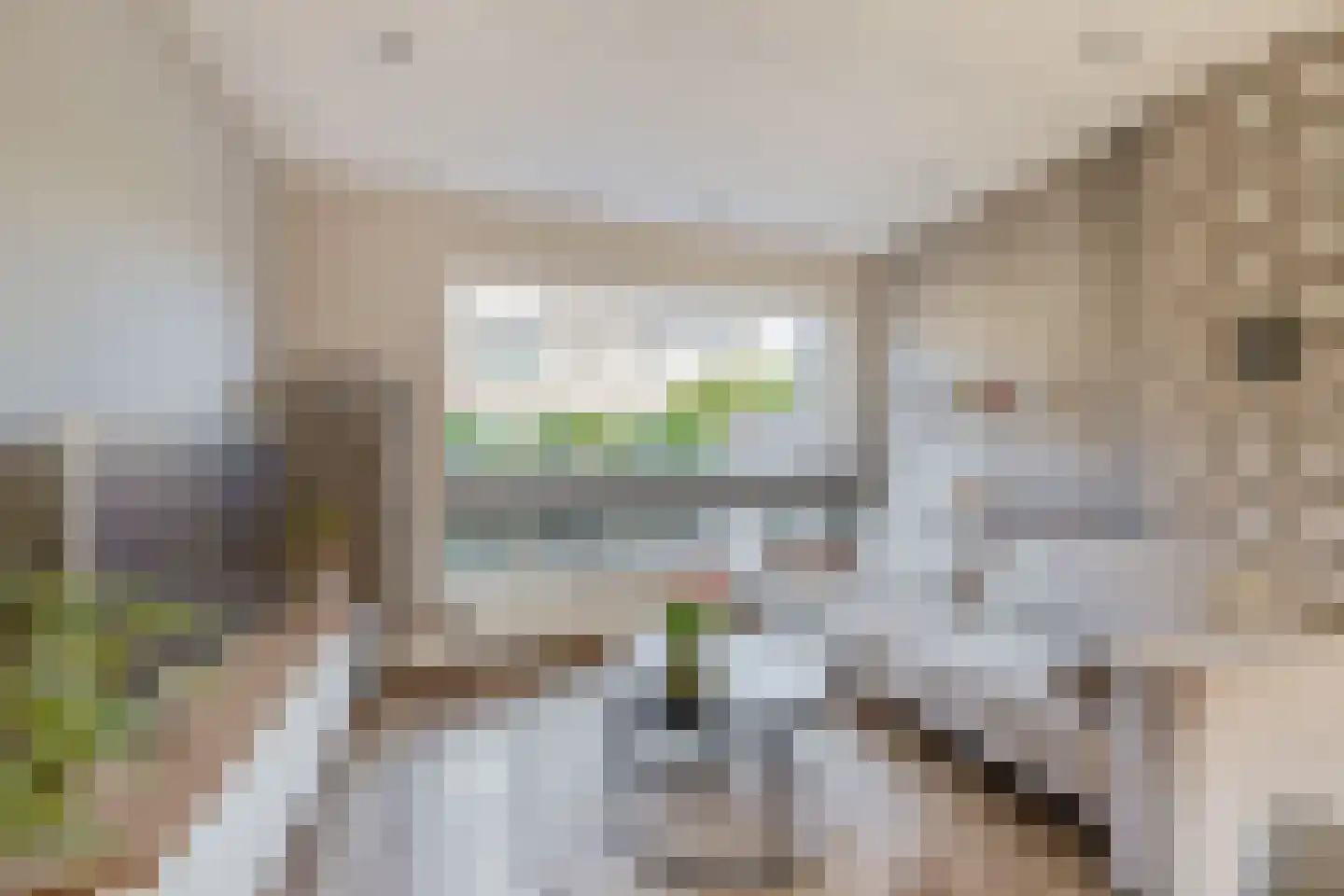 Goudsbloemstraat 6 Zevenhuizen thumbnail 8