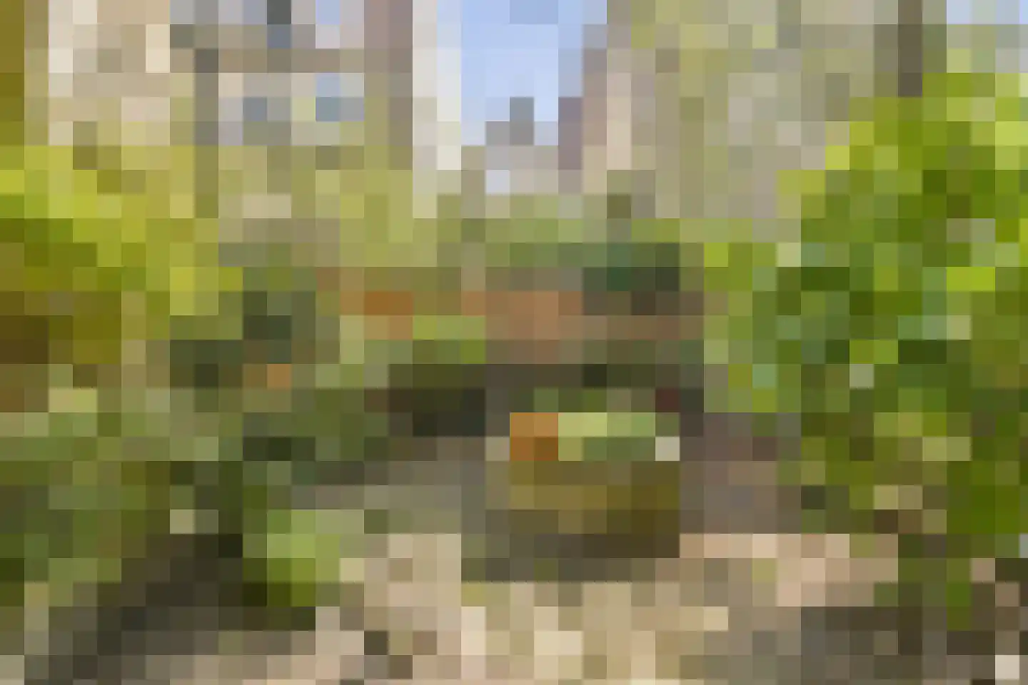 Goudsbloemstraat 65 Amsterdam thumbnail 13
