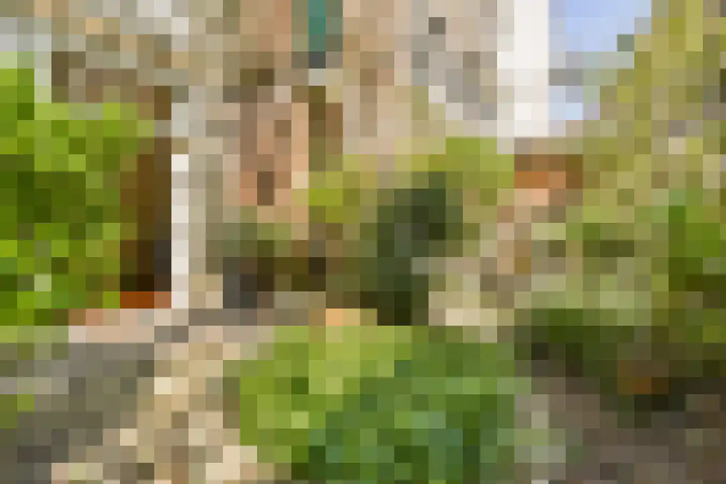 Goudsbloemstraat 65 Amsterdam thumbnail 14