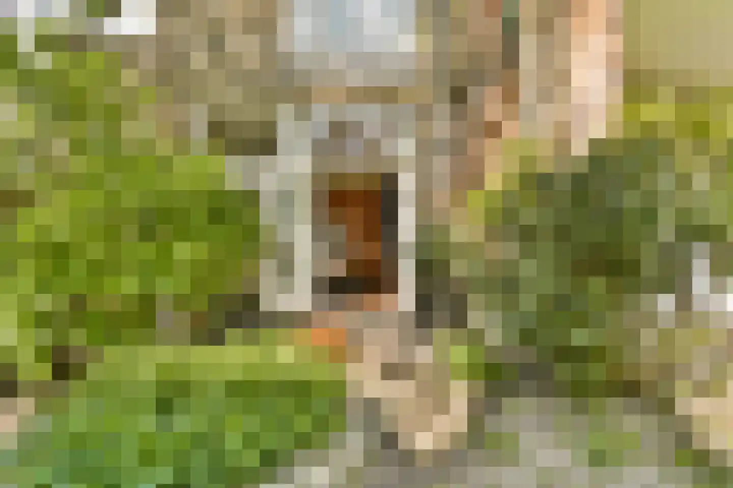 Goudsbloemstraat 65 Amsterdam thumbnail 15