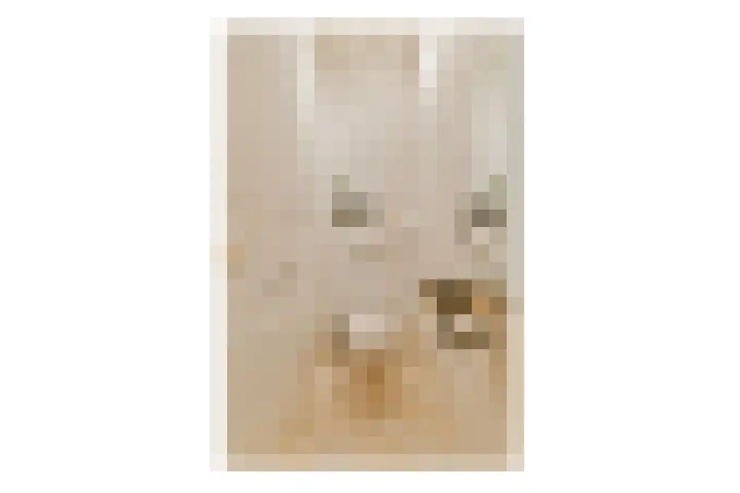 Goudsbloemstraat 65 Amsterdam thumbnail 27
