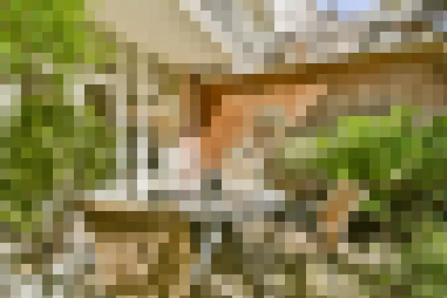 Goudsbloemstraat 65 Amsterdam thumbnail 8