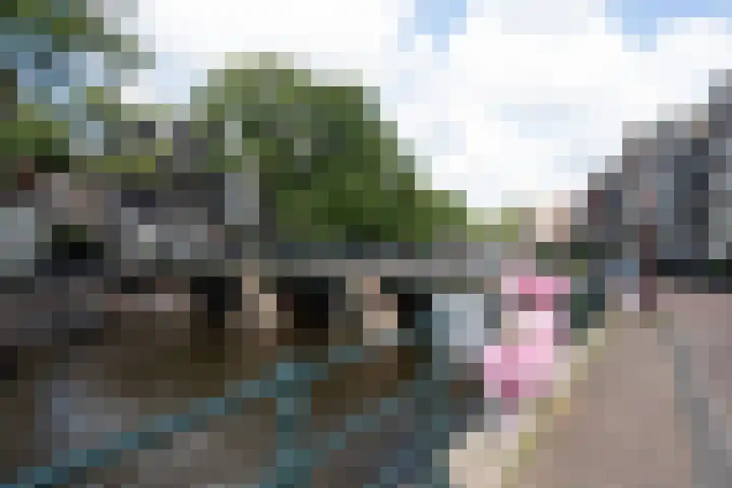 Goudsbloemstraat 67 Amsterdam thumbnail 39