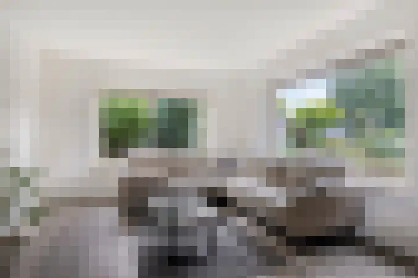 Goudsbloemstraat 7 Eibergen thumbnail 10