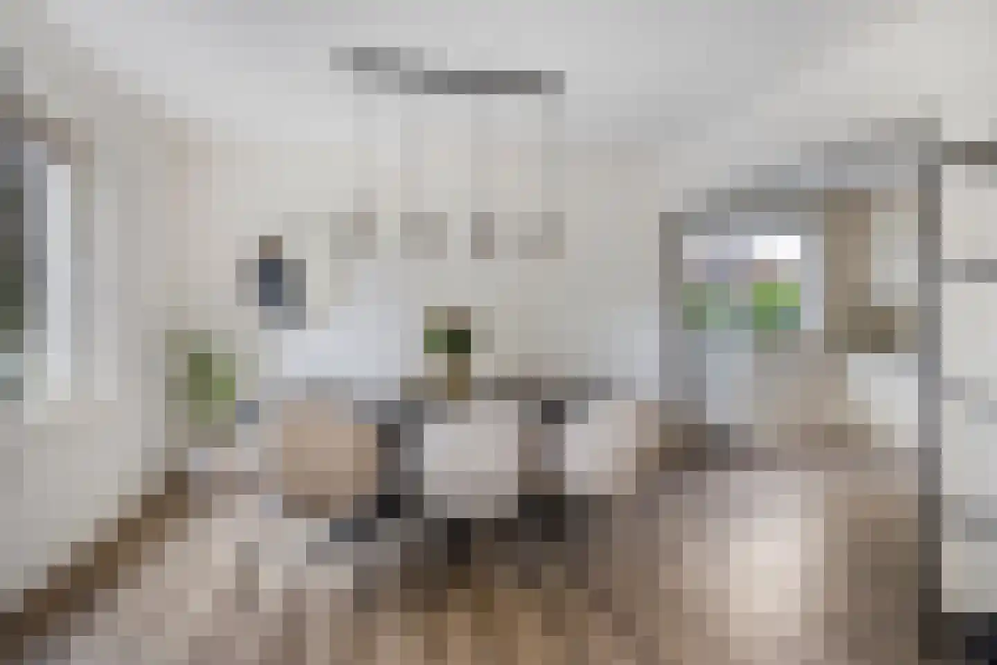 Goudsbloemstraat 7 Eibergen thumbnail 12