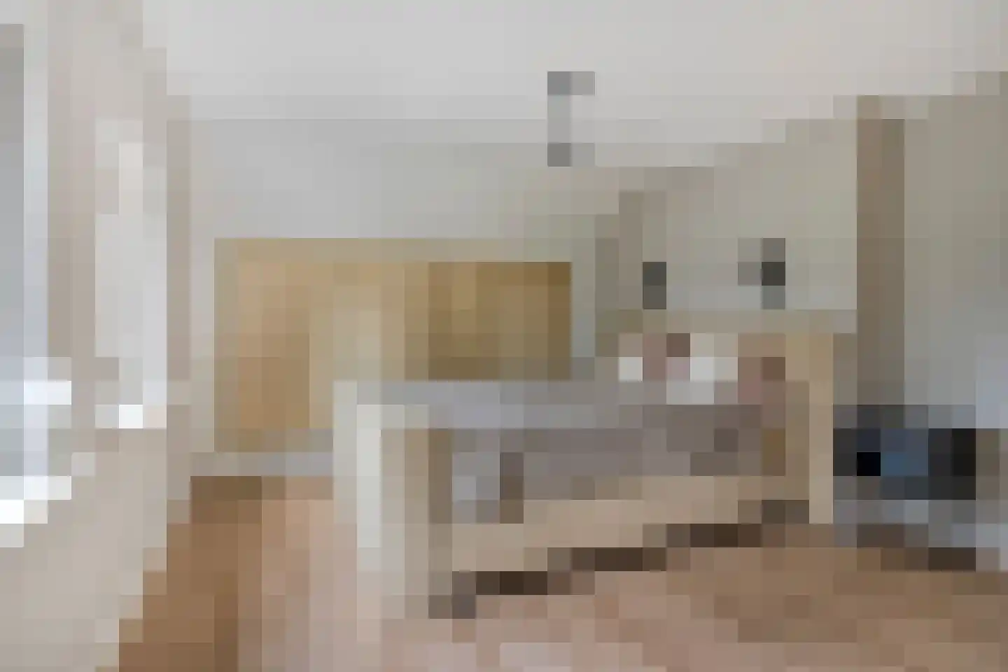 Goudsbloemstraat 7 Eibergen thumbnail 23