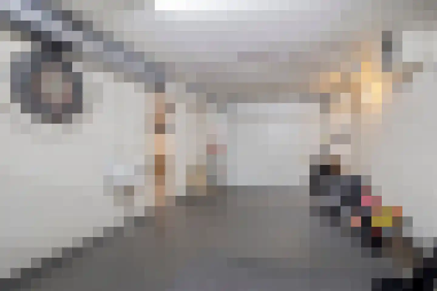 Goudsbloemstraat 7 Eibergen thumbnail 32