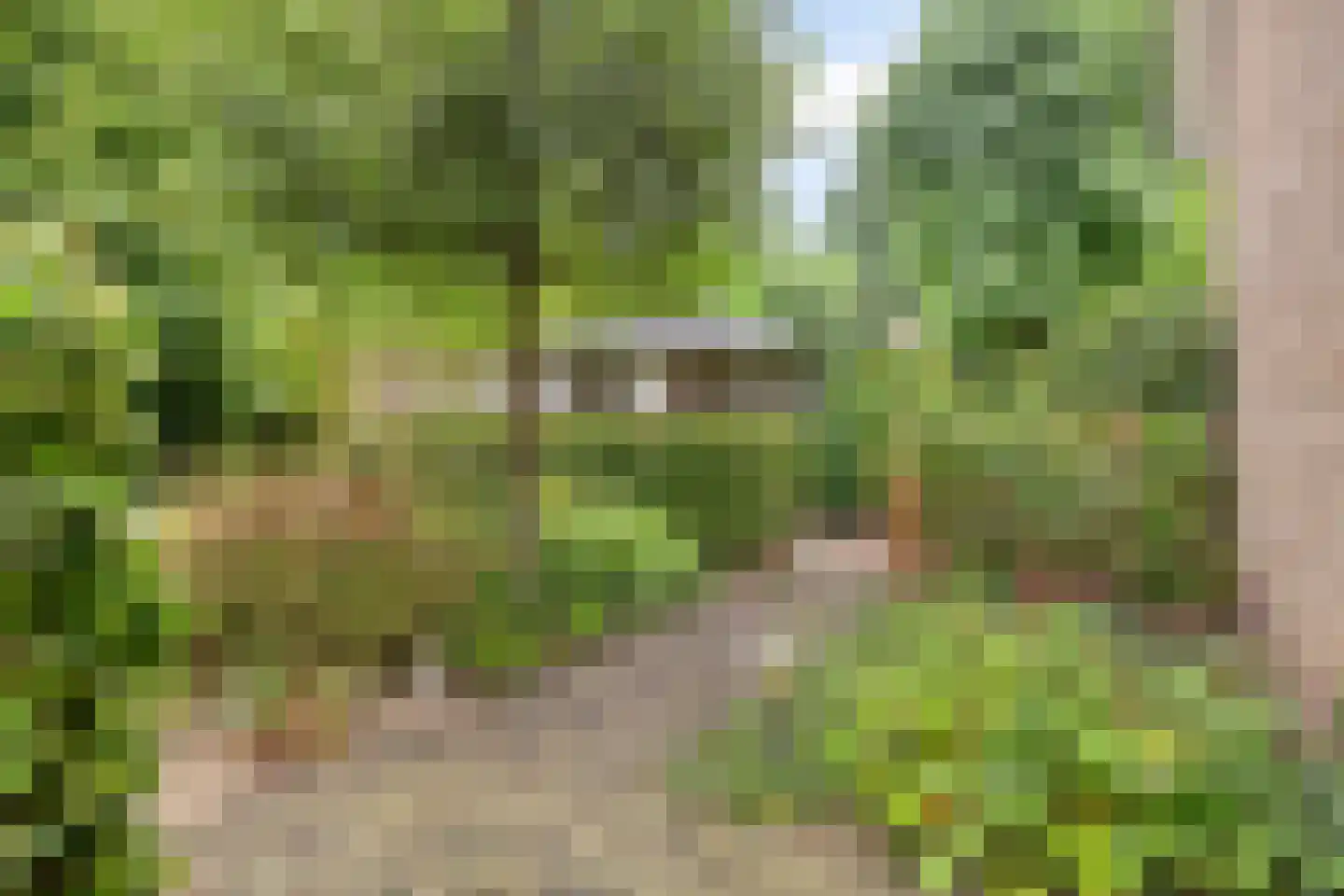 Goudsbloemstraat 7 Eibergen thumbnail 35
