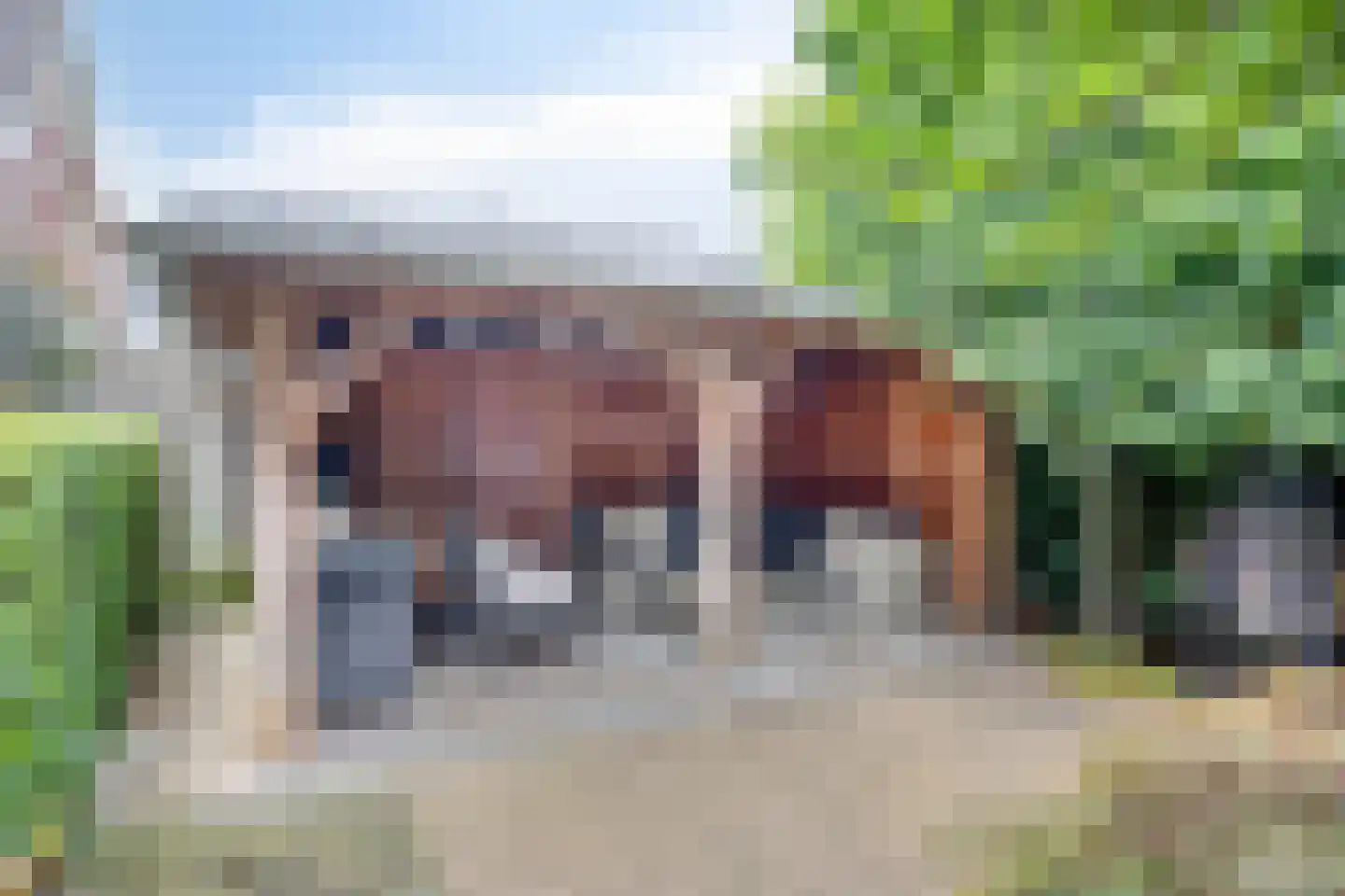Goudsbloemstraat 7 Eibergen thumbnail 36