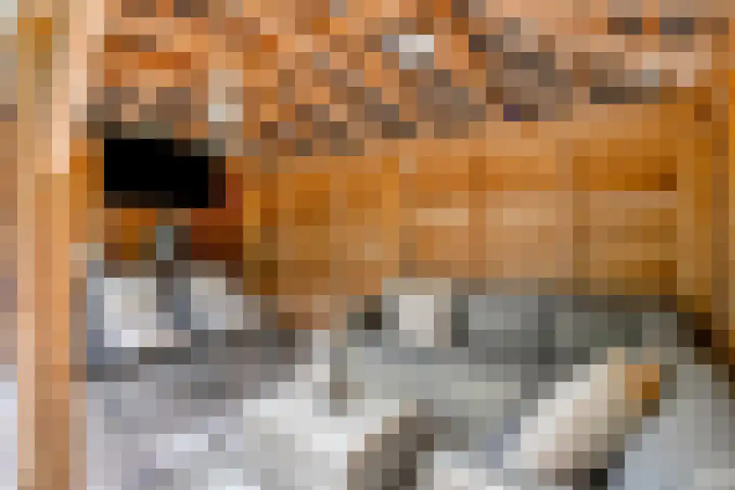 Goudsbloemstraat 7 Eibergen thumbnail 37