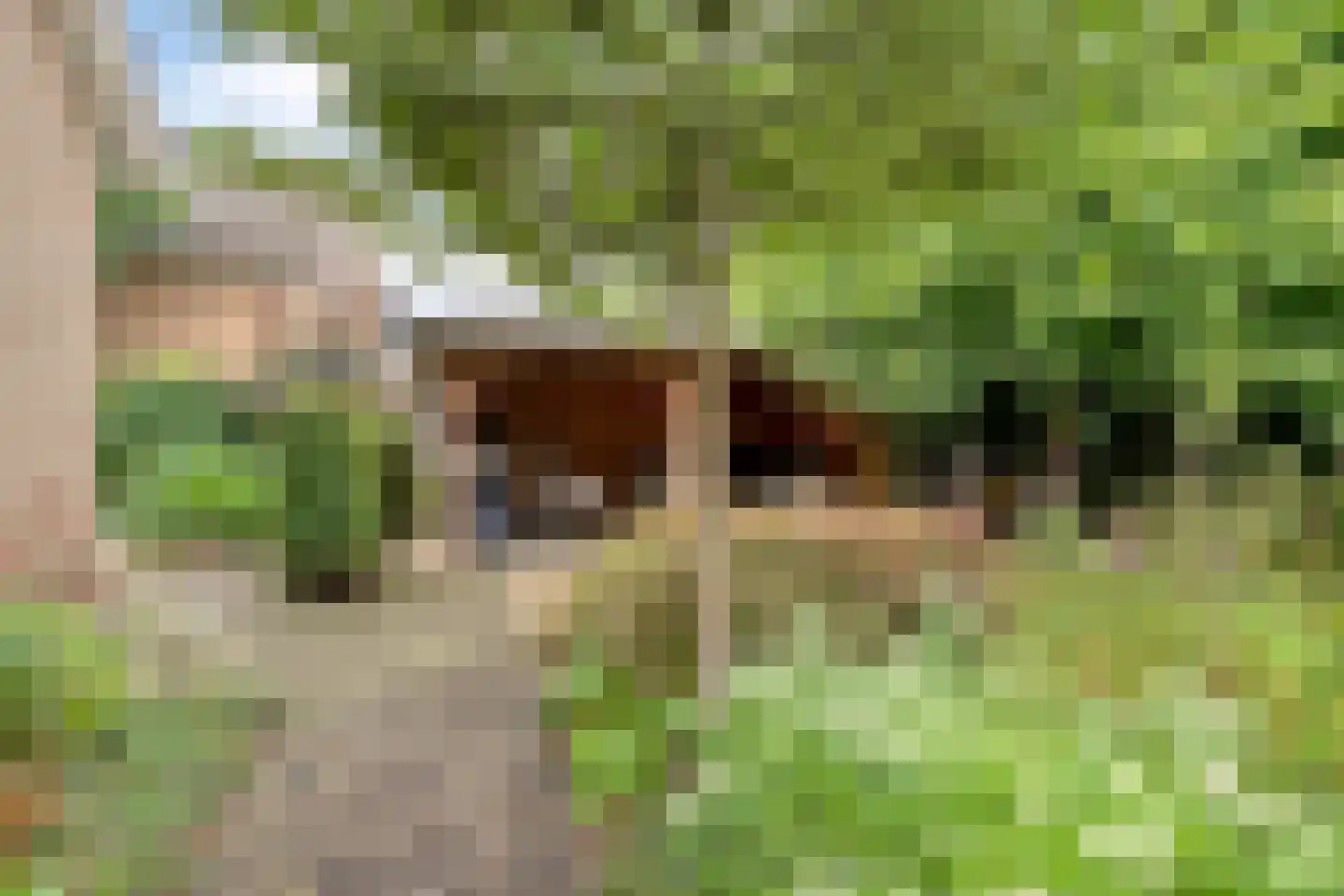 Goudsbloemstraat 7 Eibergen thumbnail 38