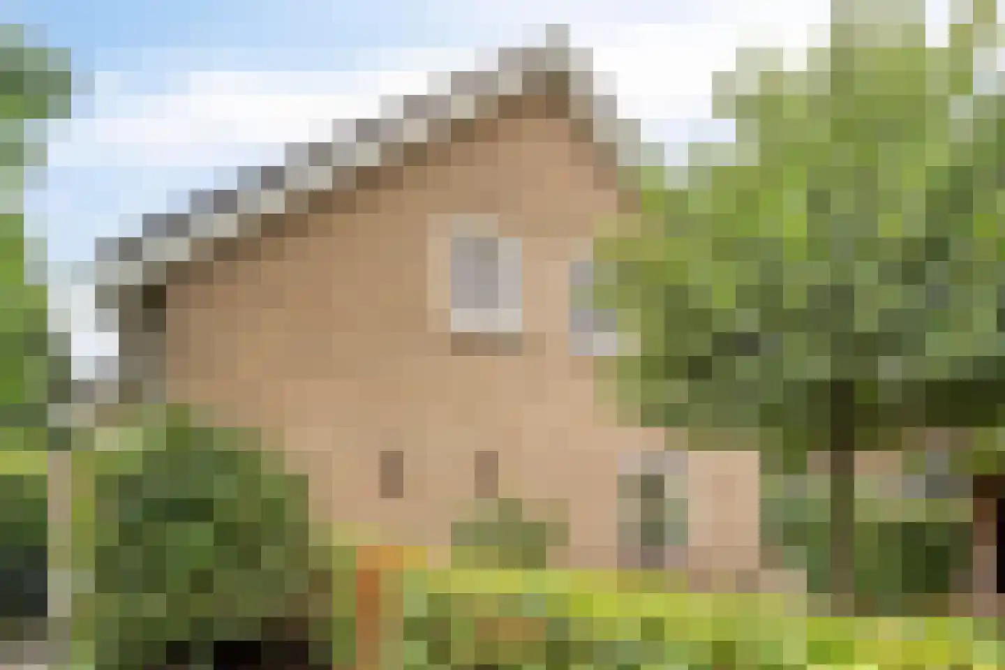 Goudsbloemstraat 7 Eibergen thumbnail 40