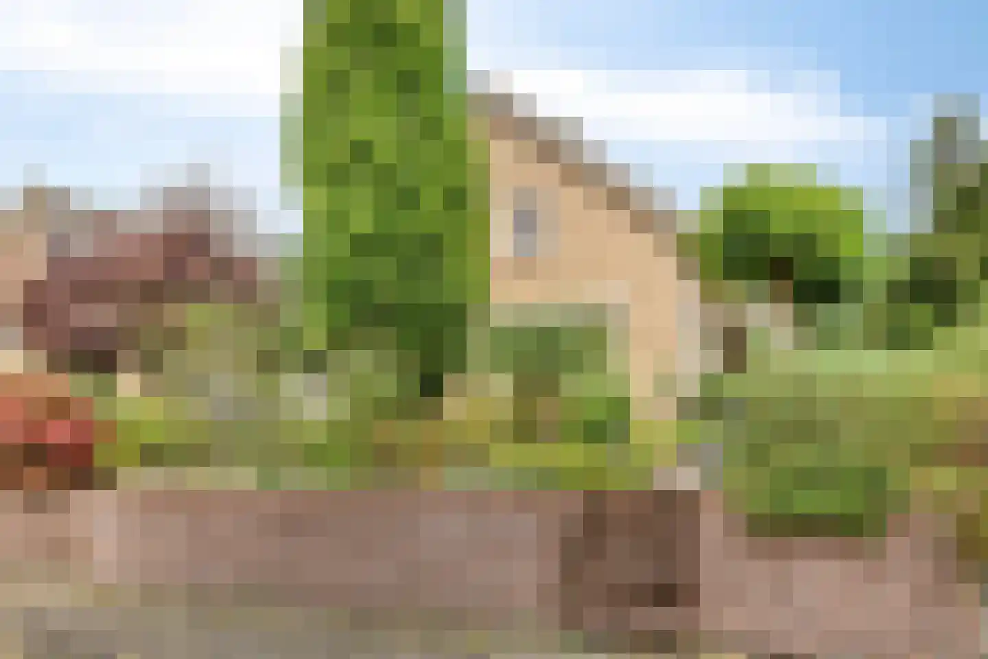 Goudsbloemstraat 7 Eibergen thumbnail 41