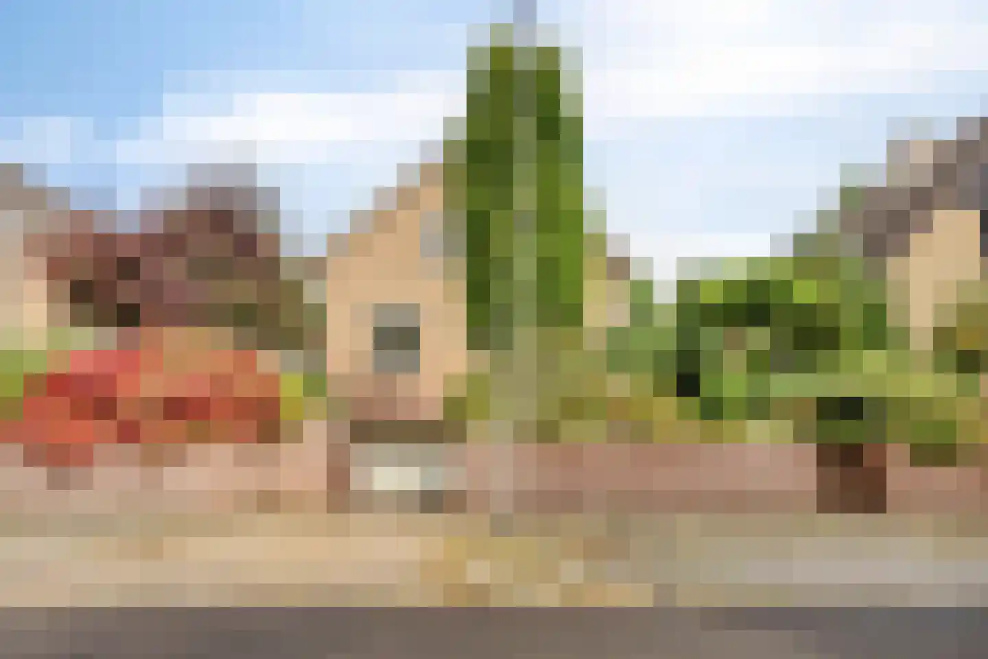 Goudsbloemstraat 7 Eibergen thumbnail 42