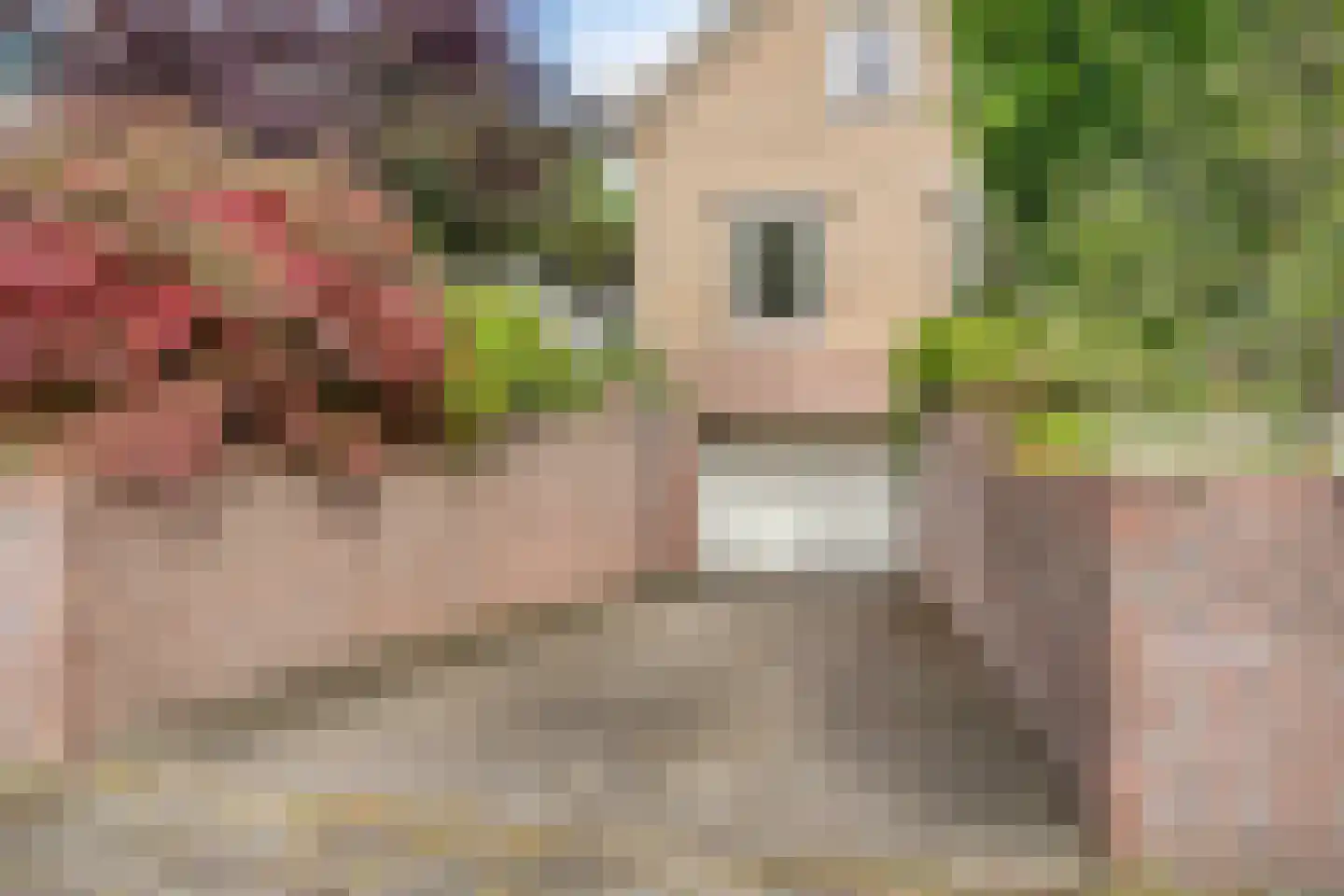 Goudsbloemstraat 7 Eibergen thumbnail 43