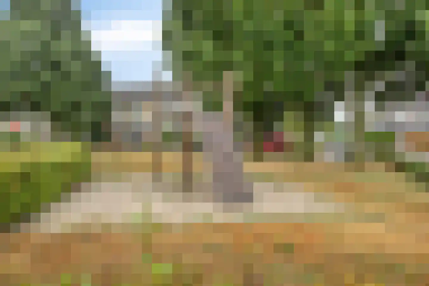 Goudsbloemstraat 7 Eibergen thumbnail 44