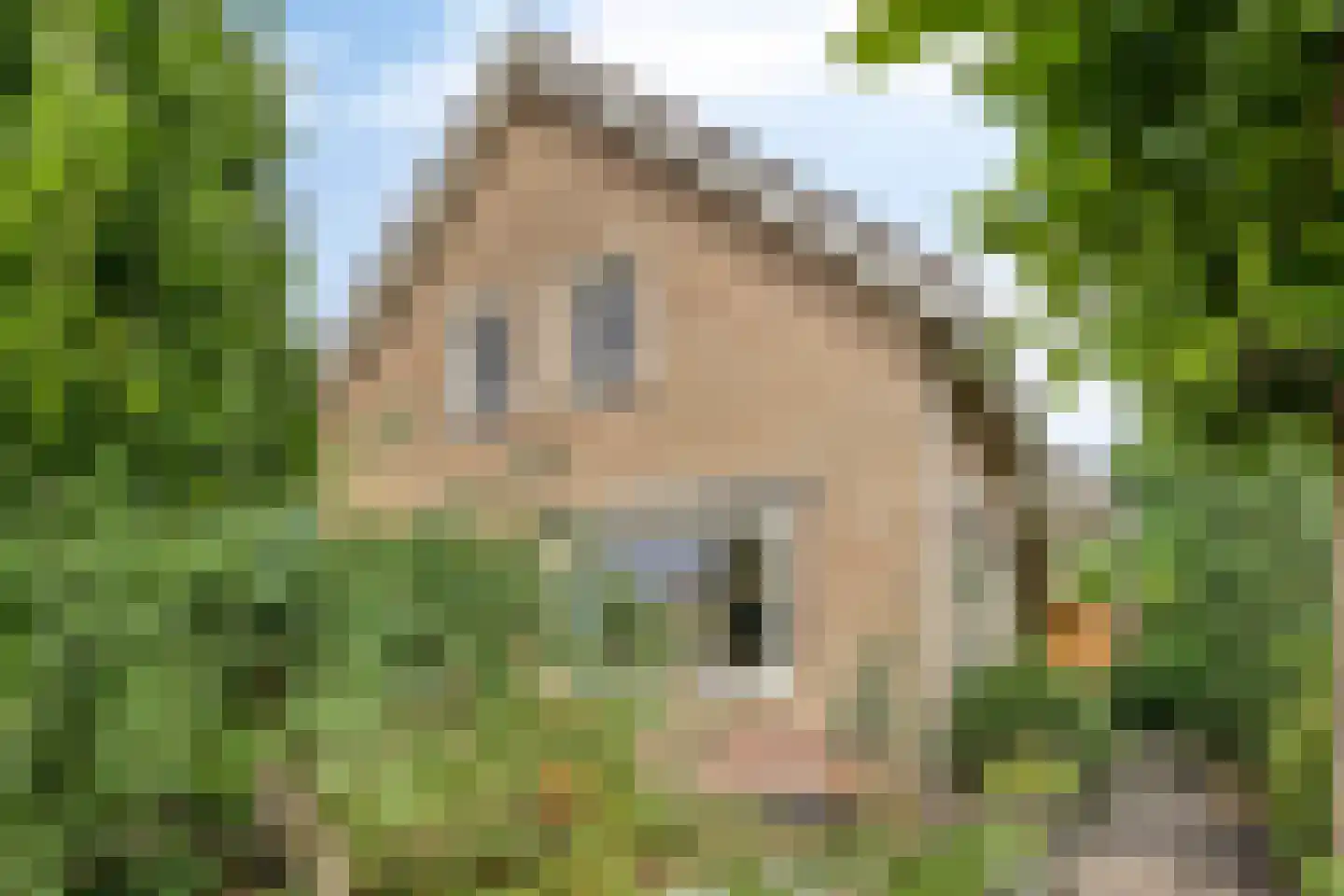 Goudsbloemstraat 7 Eibergen thumbnail 5