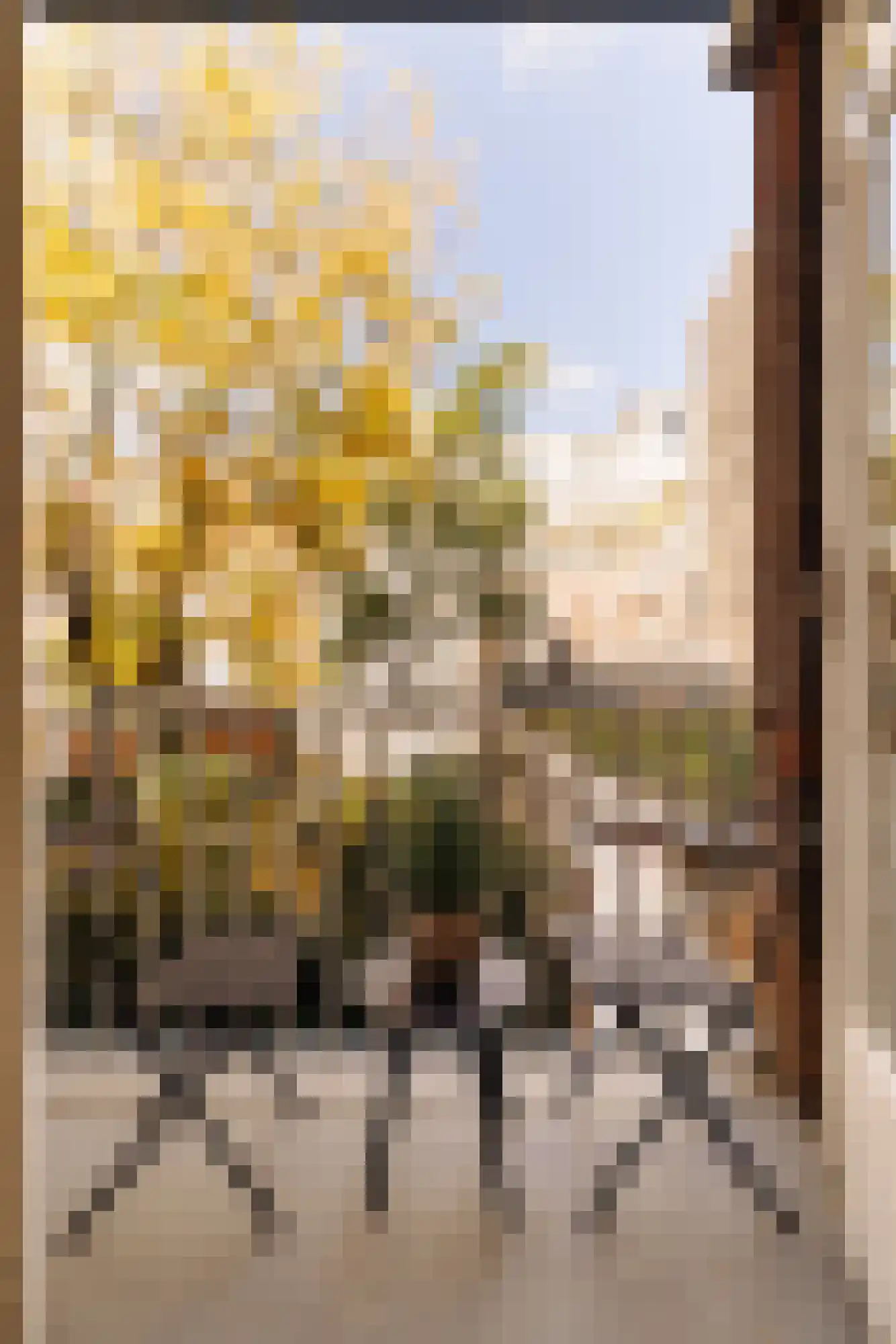 Goudsbloemstraat 70 1 Amsterdam thumbnail 4