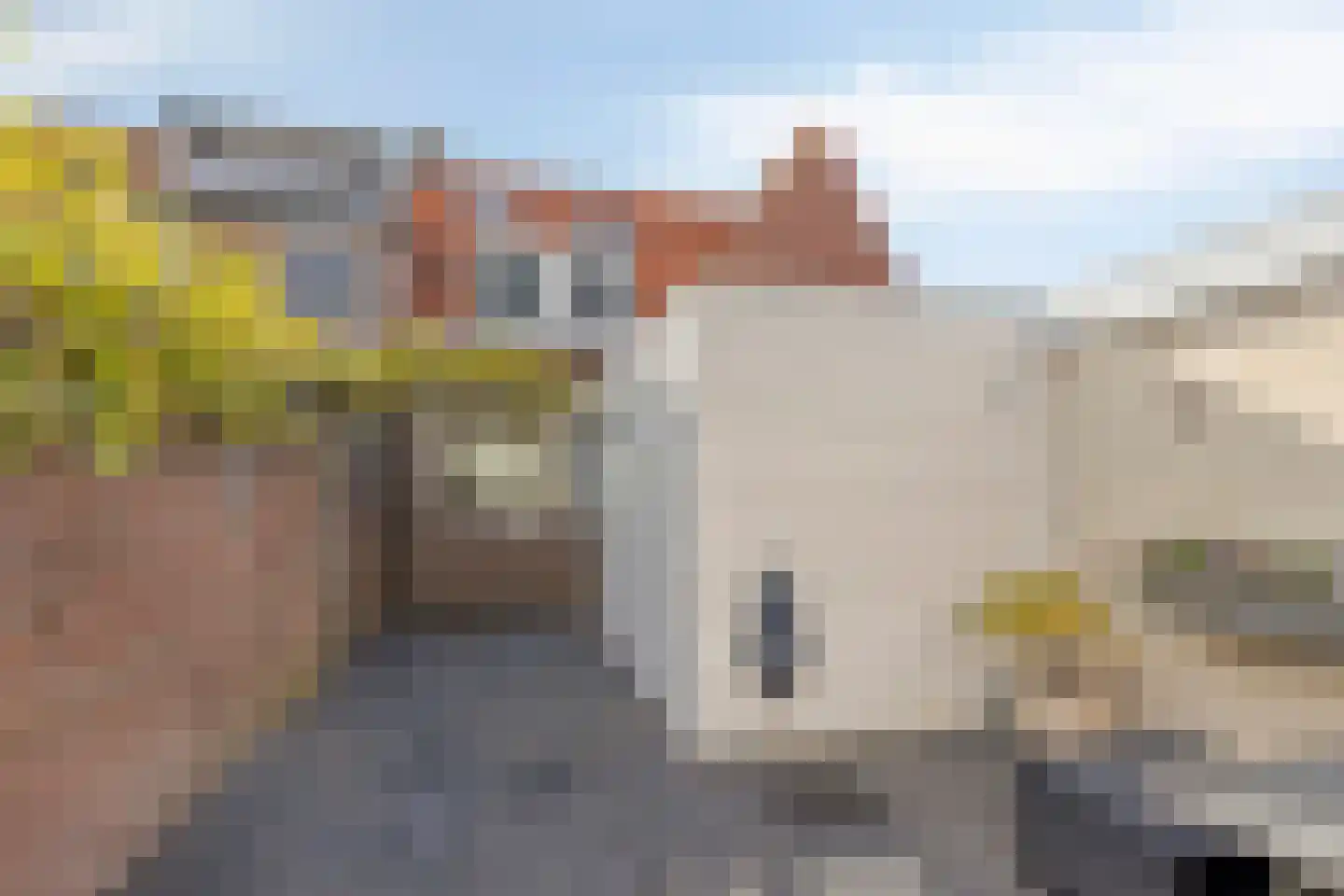 Goudsbloemstraat 70 Den Helder thumbnail 33