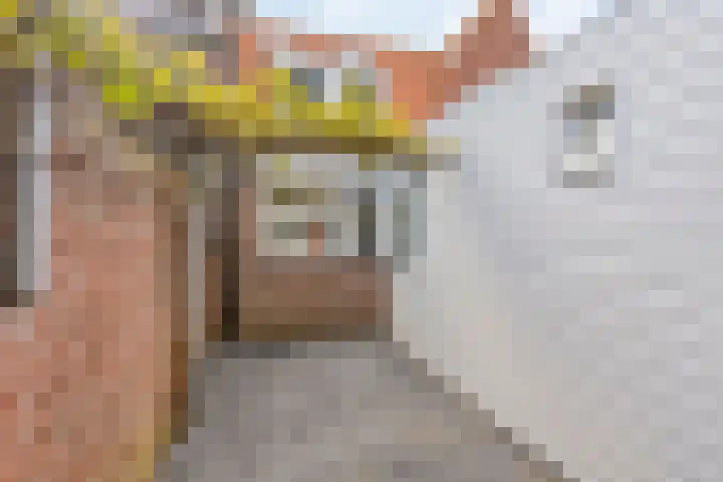 Goudsbloemstraat 70 Den Helder thumbnail 37