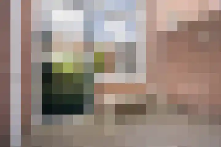 Goudsbloemstraat 81 Zwolle thumbnail 13