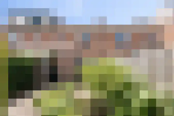 Goudsbloemstraat 81 Zwolle thumbnail 14