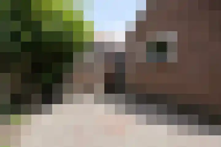 Goudsbloemstraat 81 Zwolle thumbnail 16