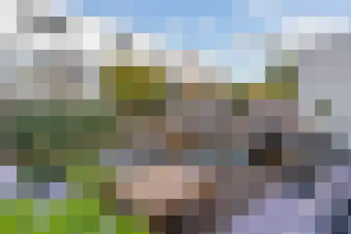 Goudsbloemstraat 83 Papendrecht thumbnail 4